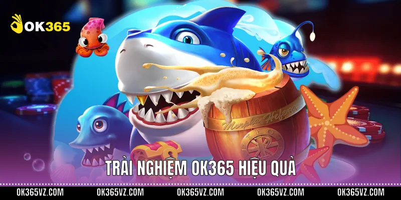 Trải nghiệm OK365 hiệu quả
